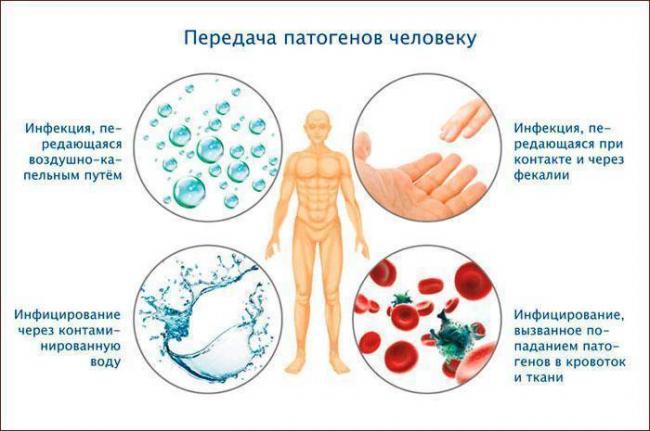 Как можно заразиться туберкулезом, пути и способы заражения