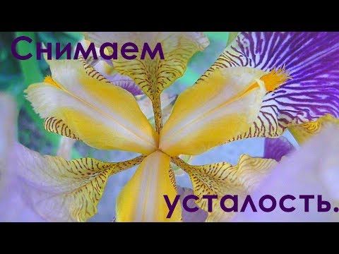 Что слушать, когда депрессия топит?