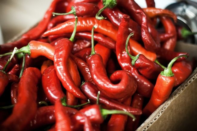 Хотите похудеть быстро? попробуйте красный перец для похудения