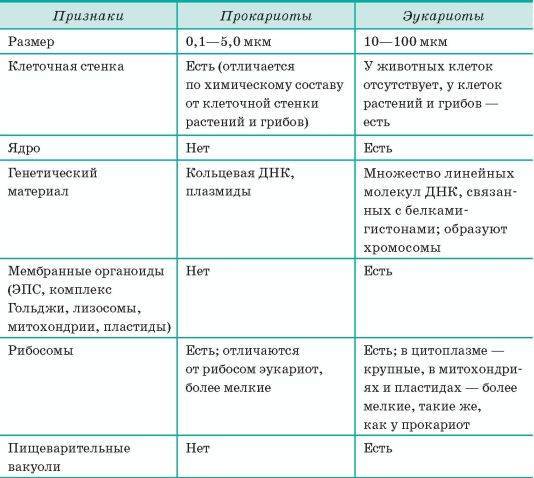 Царства бактерий и грибов: друзья или враги человеку?