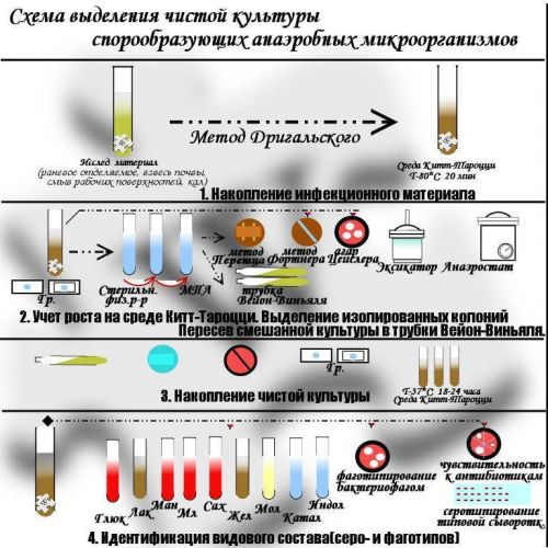 Культивирование микроорганизмов - общая и пищевая микробиология часть i - л. в. красникова - 2016