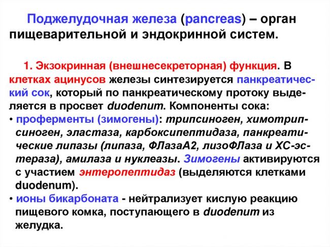 Гормоны поджелудочной железы. инсулин и глюкагон