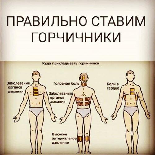Горчичники при сухом кашле для взрослых и детей - показания
