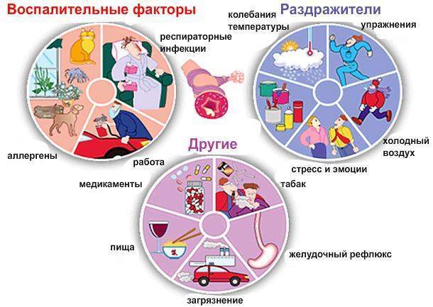 Астма: причины, признаки и симптомы у взрослых, лечение