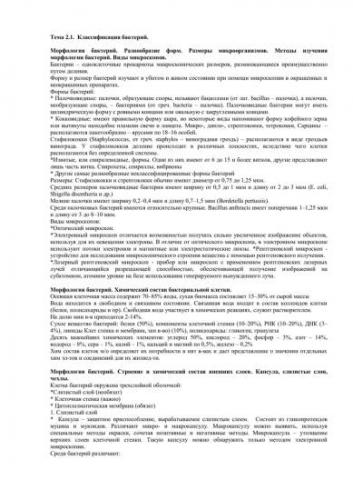Строение бактериальной клетки