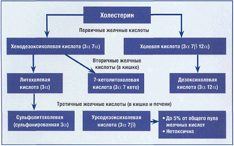 Типы функциональных расстройств сфинктера одди и методы их лечения