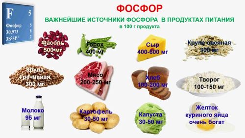 Питание при переломах костей ног