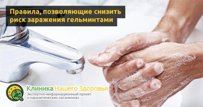 Диета во время лечения от глистов