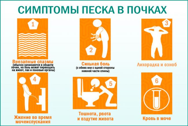 Лечение почек народными средствами в домашних условиях. как лечить почки на дому