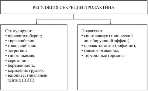 Адренокортикотропный гормон