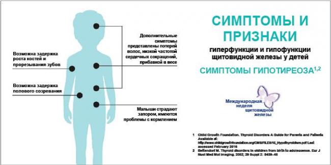 Заболевания щитовидной железы - симптомы, лечение, признаки, причины и профилактика
