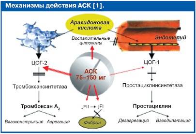 Аспирин - инструкция по применению, отзывы, аналоги и формы выпуска таблетки в дозировке 100 мг, 500 мг, упса, кардио сердечные, шипучие препарата для разжижения крови, снятия боли и жара у взрослых, детей и при беременности