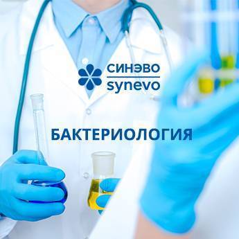 Бактерия – возбудитель туберкулеза: специфика и патогенез