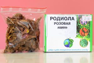Родиола розовая: 7 полезных свойств и противопоказания