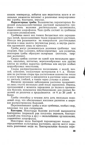 Роль бактерий в жизни человека. полезные бактерии