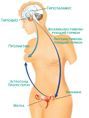 Пролактин