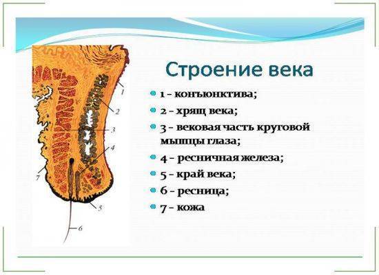 Отеки верхних век причины лечение народными средствами