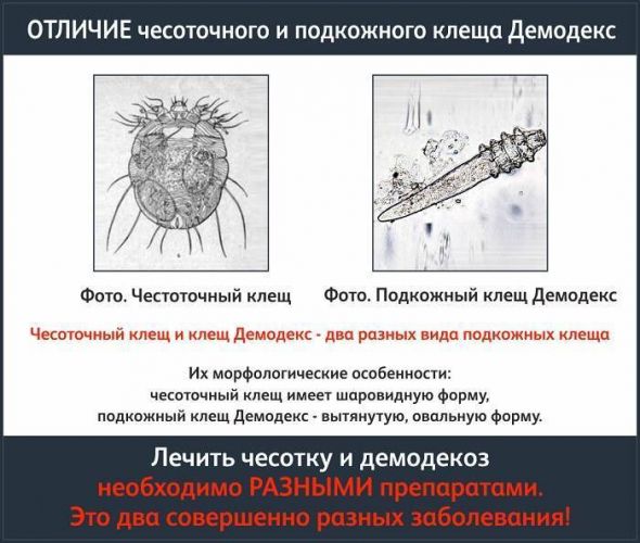 Демазол крем инструкция по применению