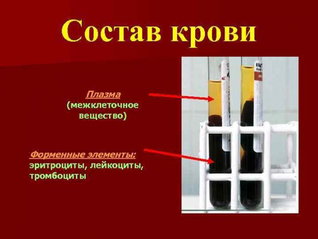 Плазма крови – что это такое, как проводят лечение плазмой?