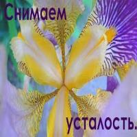 Что слушать, когда депрессия топит?