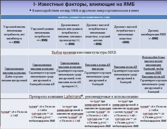 Вредные бактерии: где живут и какие вызывают болезни