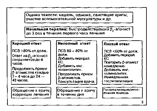 Чем отличается бронхиальная астма от бронхита