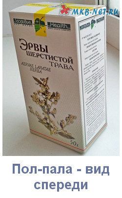 Трава пол пала. лечебные свойства, применение в народной медицине от камней в почках и желчном пузыре, других болезней. противопоказания