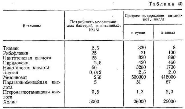 Полезные бактерии для человека, названия полезных бактерий – список. микрофлора кишечника, влагалища, во рту