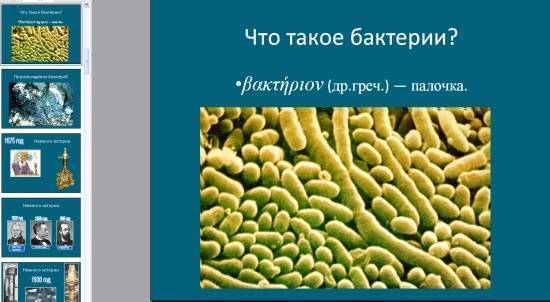 Бактерии. строение бактериальной клетки. формы. фото