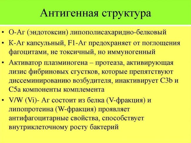 Возбудитель сибирской язвы план 1.морфология возбудителя 2. культуральные и биохимические свойства 3.диагностика и профилактика сибирской язвы здоровье. - презентация