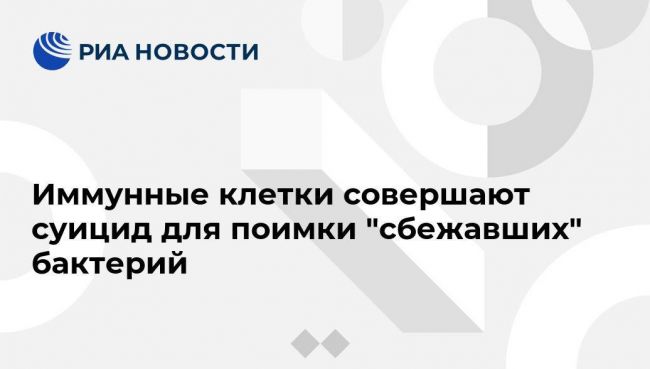 Днк бактериальная