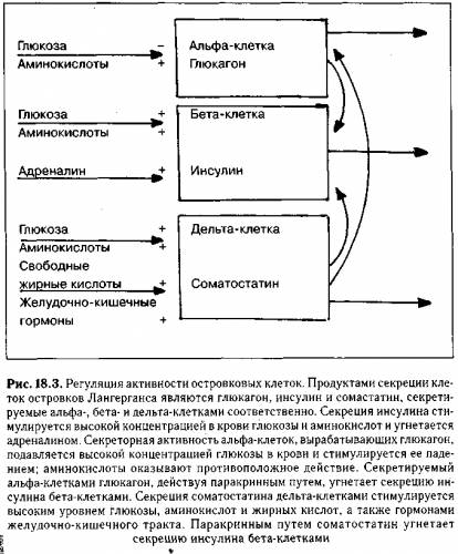- поджелудочной железы - биохимия