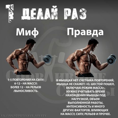 Программа тренировок шварценеггера на массу