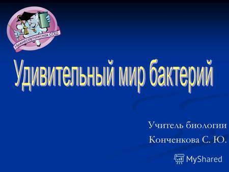 Чем и как отличаются бактерии от простейших