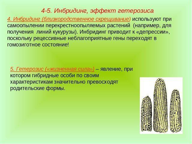 Бактерии- древние организмы