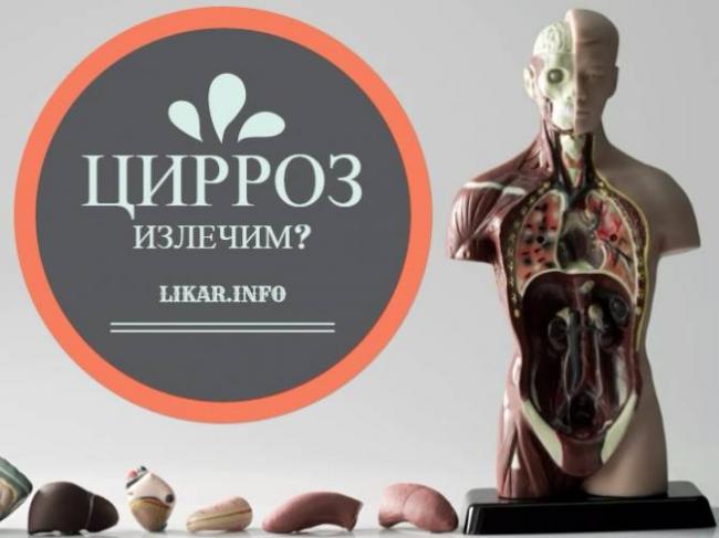 Химчистка для печени, или почему нельзя пить водку и запивать её гепатопротекторами