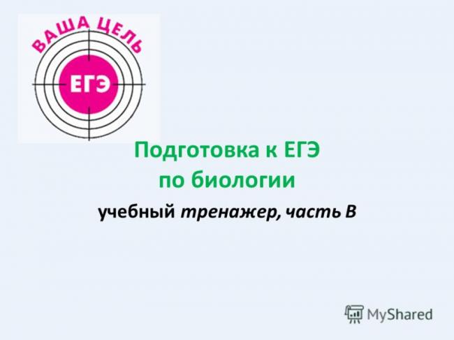 Желчь в организме человека отвечает за обмен