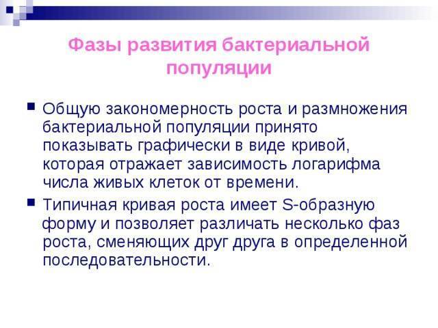 Рост и размножение бактерий