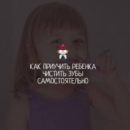 Бактерии в кишечнике человека
