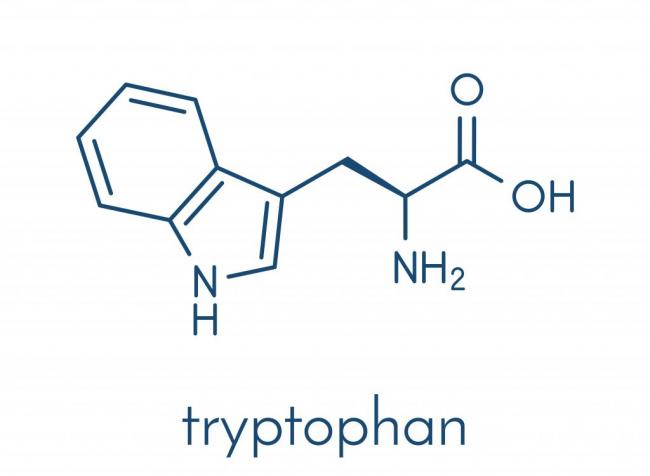 5-гидрокситриптофан (5-htp). что это такое, инструкция по применению