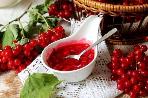 Калина при простуде: руцепты, лечение, помогает ли, для беременных, с медем, красная, как принимать
