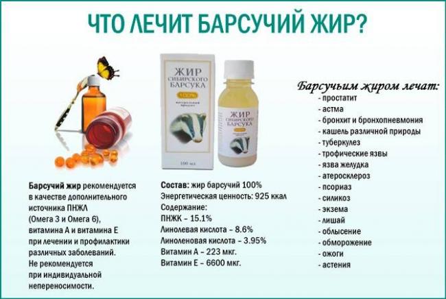 Барсучий жир. полезные свойства и вред продукта. использование в народной медицине, правильное хранение и приготовление