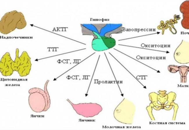 Повышен актг
