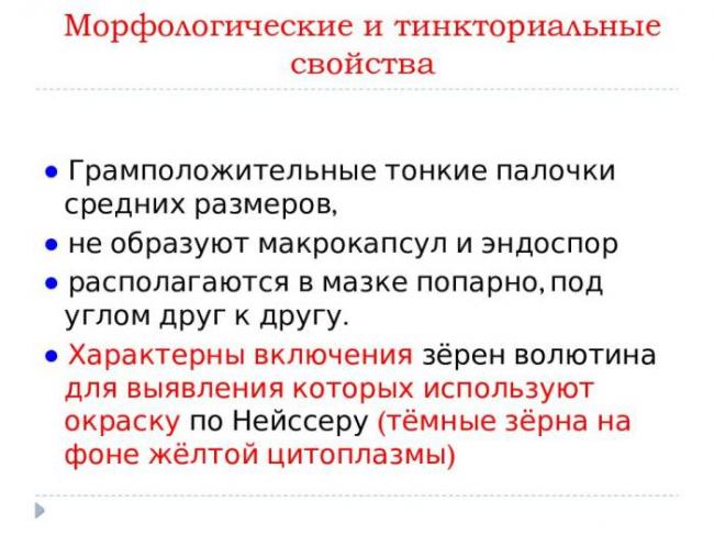 Туберкулезная палочка — что это такое