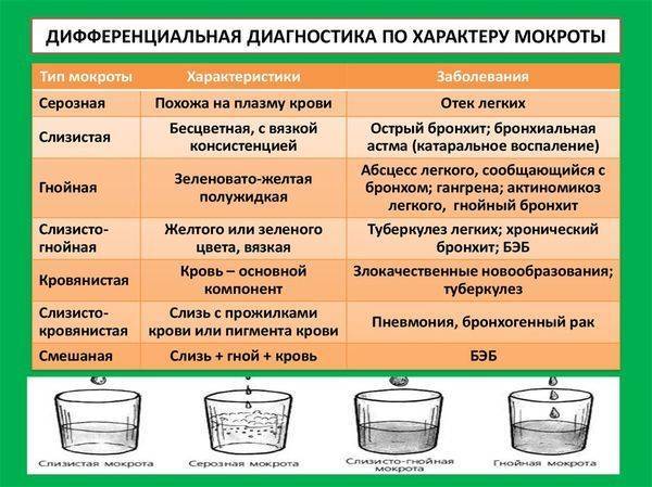 Как выглядит мокрота при туберкулезе фото