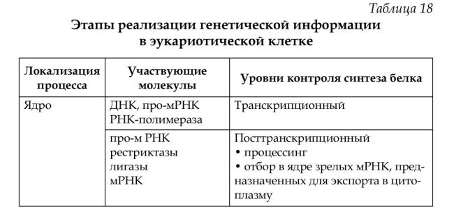 Экспрессия гена - википедия
