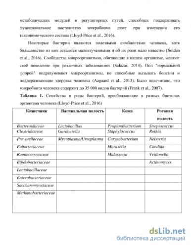 Как создать для бифидобактерий благоприятную среду и зачем это нужно