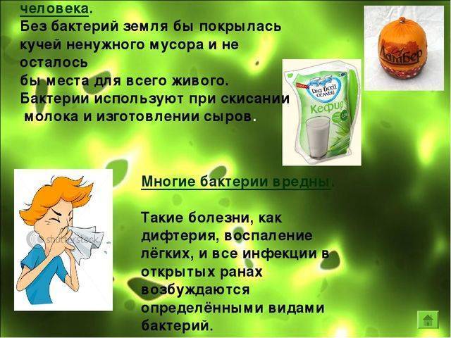 Биология: написать представителей царства живой природы: животных,растений,грибов,бактерий/