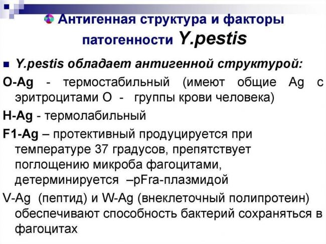 Возбудитель сибирской язвы план 1.морфология возбудителя 2. культуральные и биохимические свойства 3.диагностика и профилактика сибирской язвы здоровье. - презентация