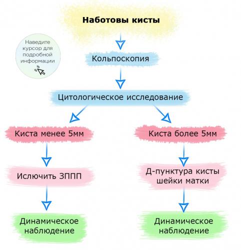 Кисточки и усики на шейке матки — возникновение и лечение заболевания